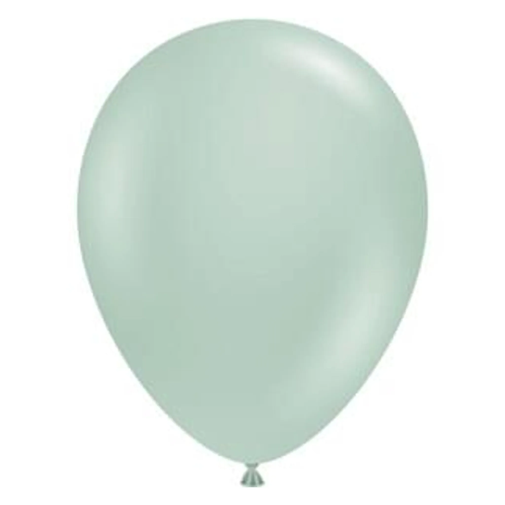 260 | Tuftex Latex Balloons | Package 10