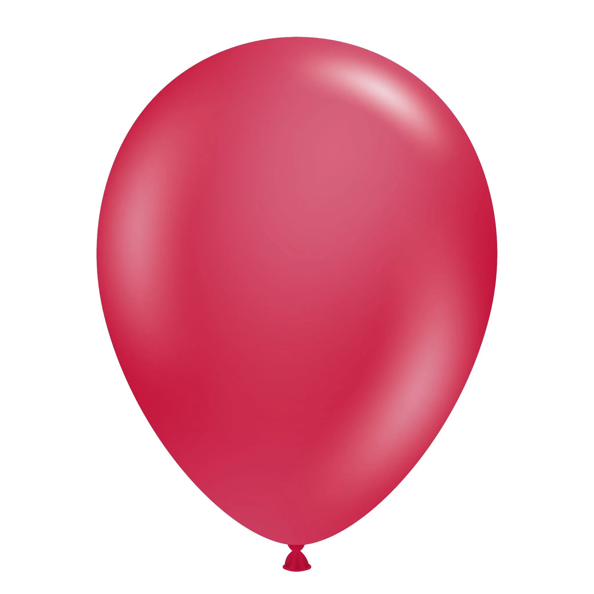 260 | Tuftex Latex Balloons | Package 10