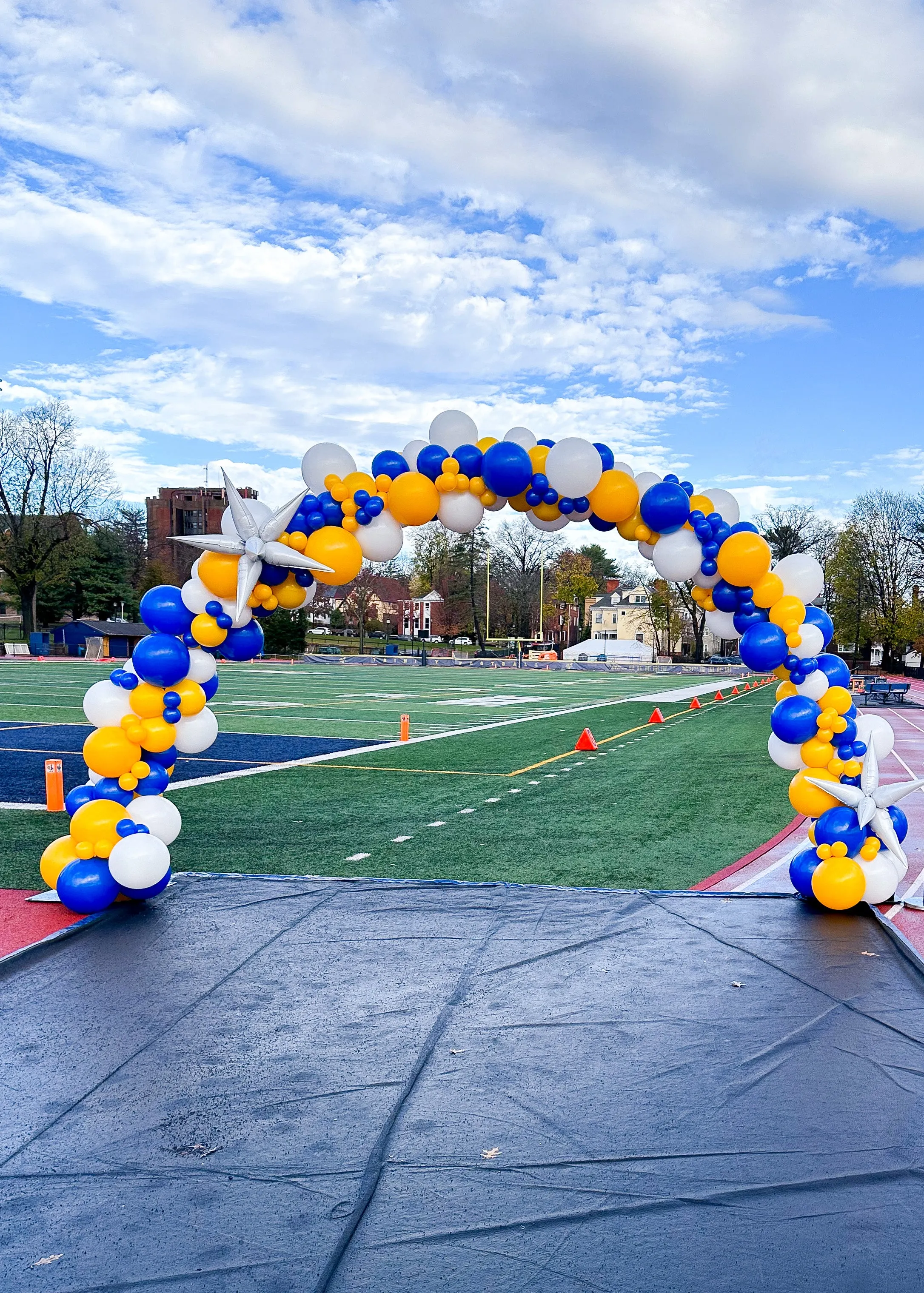 8x12 Organic Balloon Arch