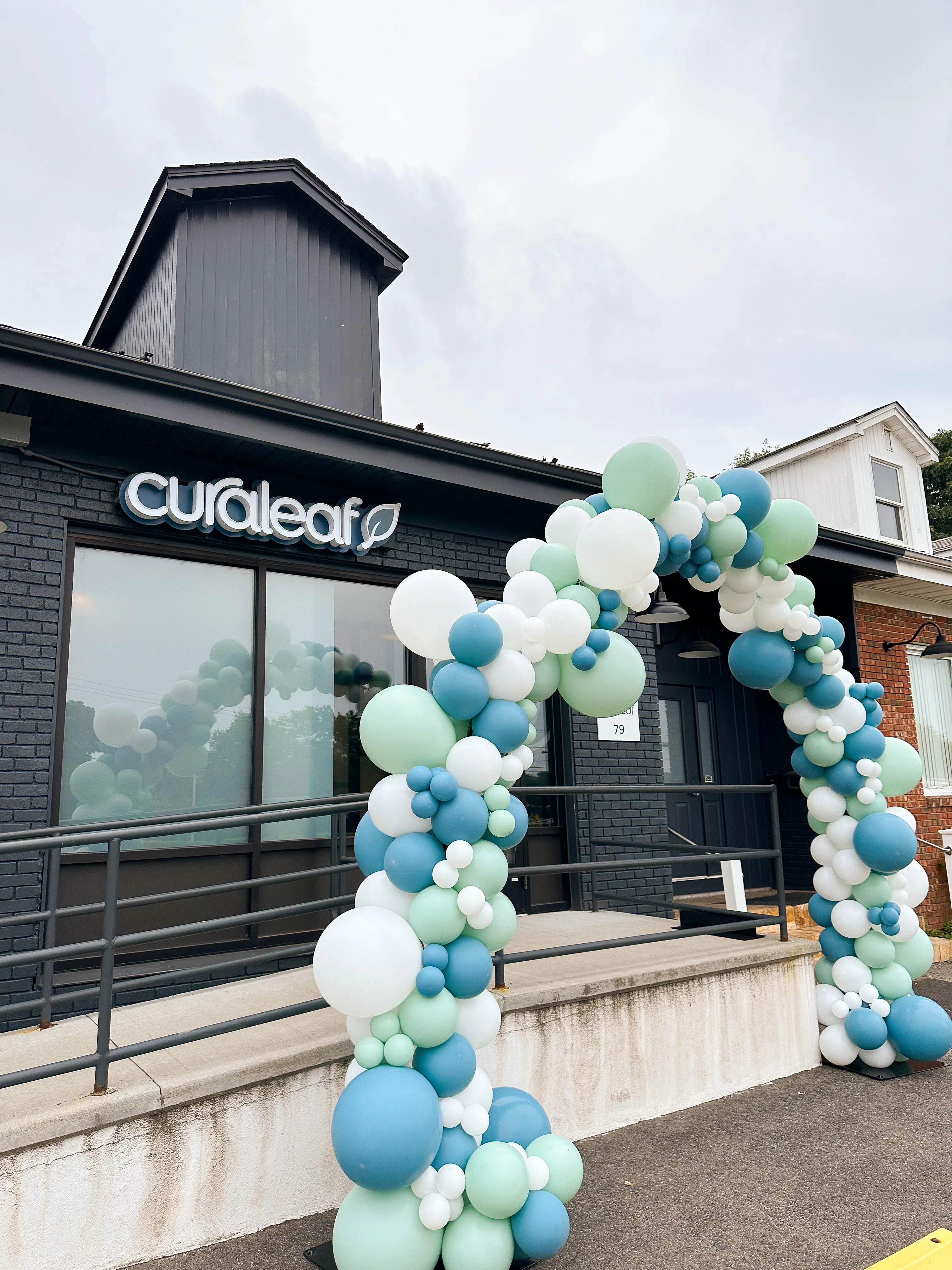 8x12 Organic Balloon Arch
