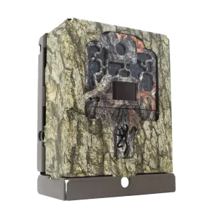 Browning Security Box