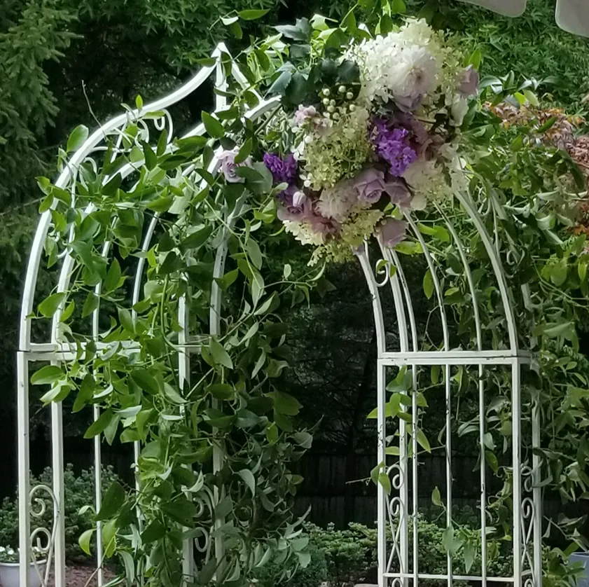 Garden Arch