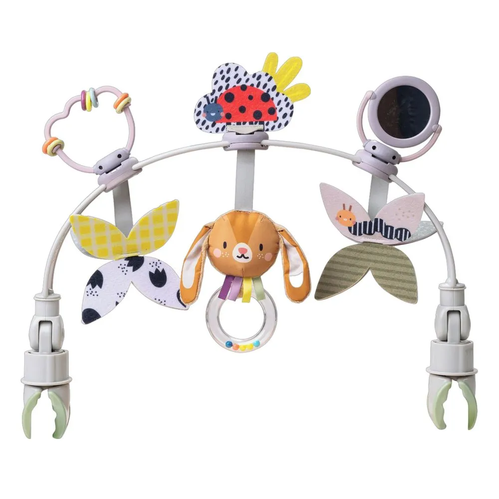 Taf Toys Grow with me Arch